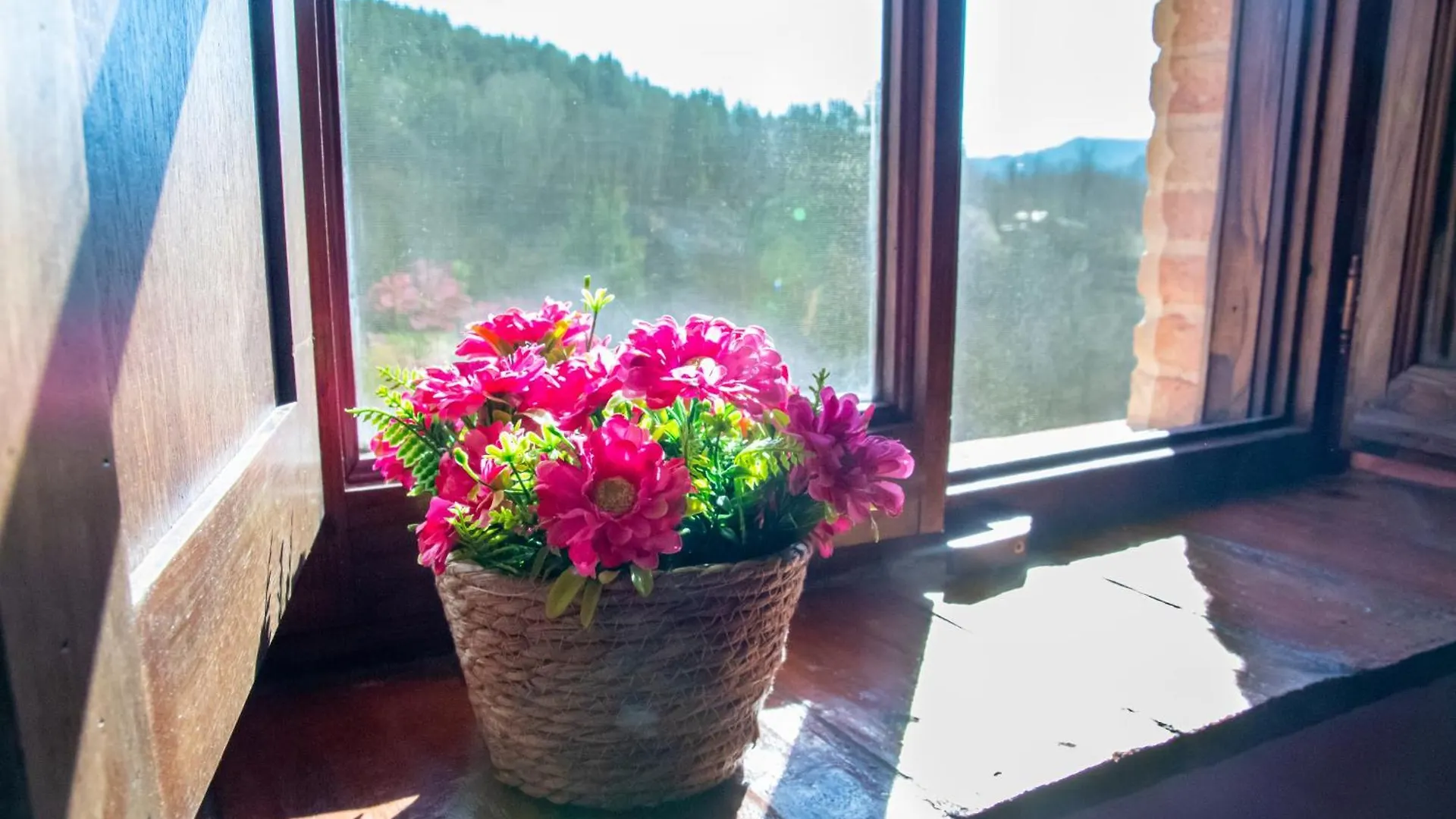 Villa Belvedere Pieve Fosciana Bed and Breakfast